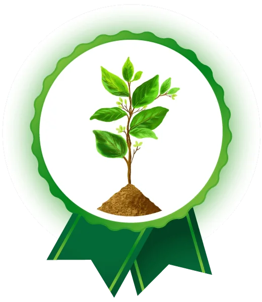 Image of certification