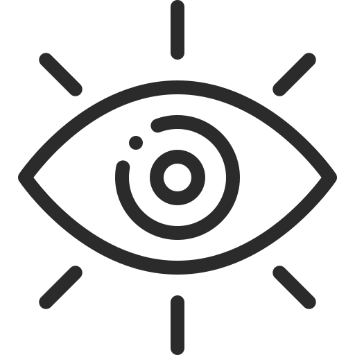 Icon of Vision