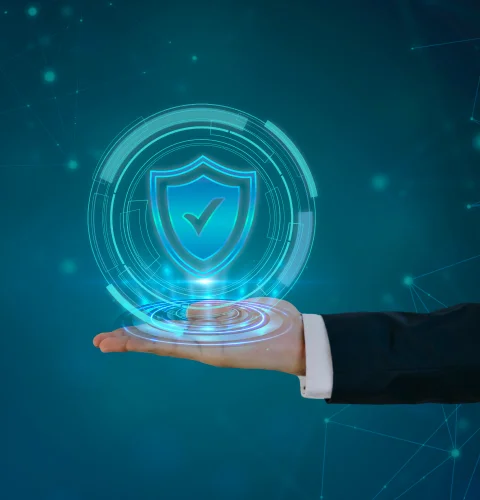 Image of Ip Protection