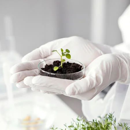 Seed Vigour & Performance Testing