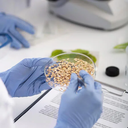 Seed Processing & Conditioning